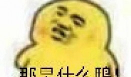 吃瓜的表情如何回复,揭秘网络社交中的趣味与智慧