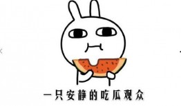 吃瓜了是啥意思,网络热词背后的文化现象