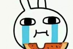 娱乐吃瓜合成一个词是什么,揭秘明星幕后故事